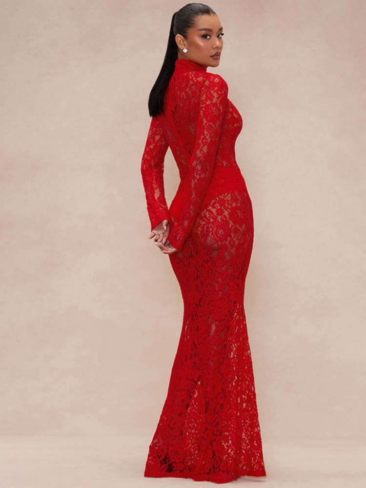 Sheer Lace Turtleneck Dress Newgew Dresses
