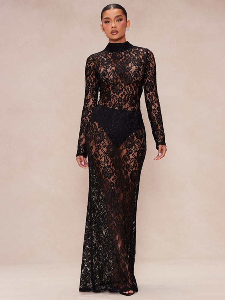 Sheer Lace Turtleneck Dress Newgew Dresses