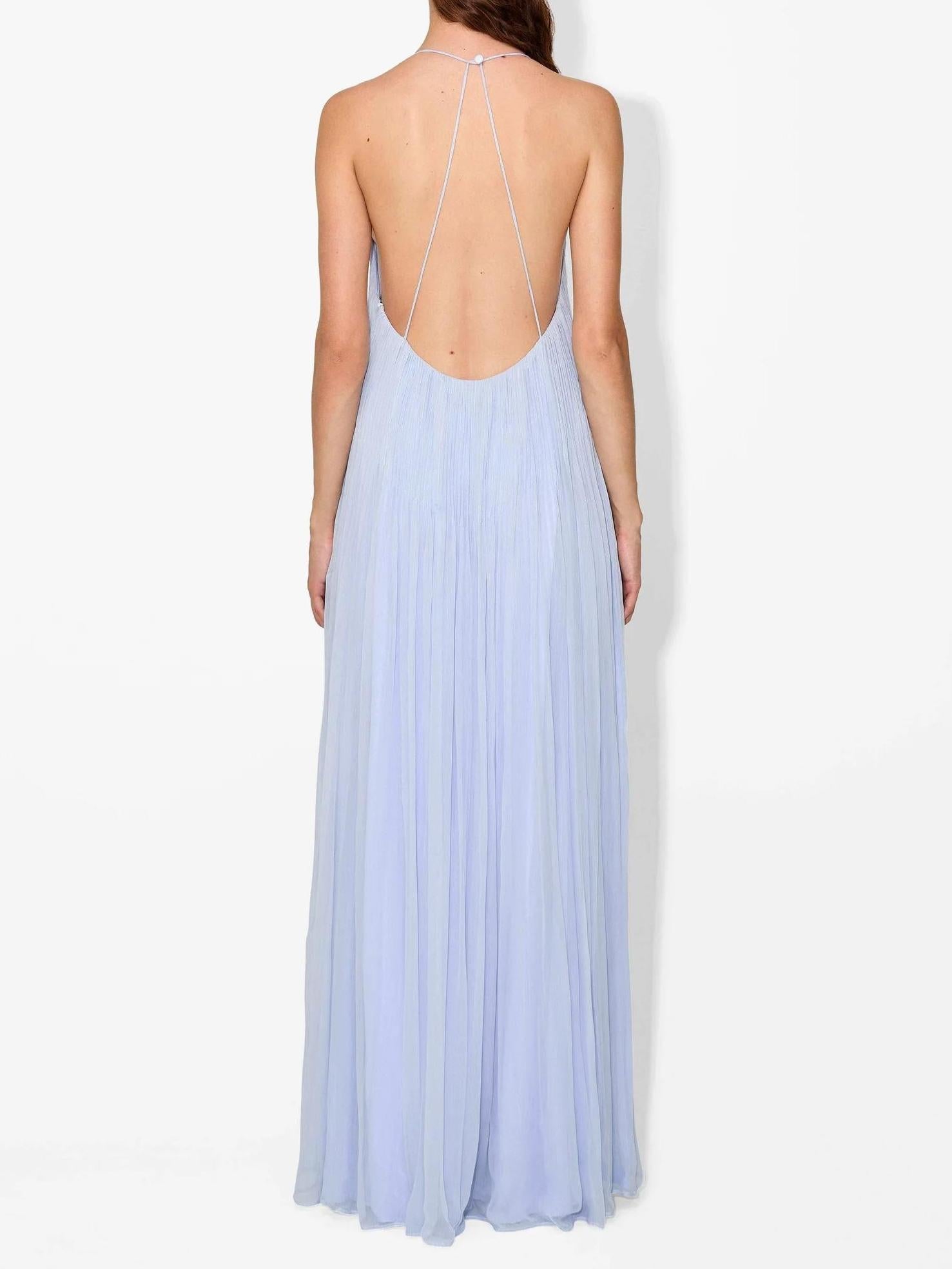 Haydin Maxi Dress - Hydrangea Newgew Dresses