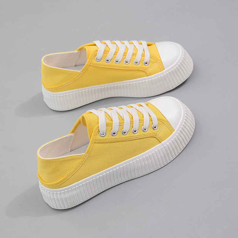 Women's Spring Trendy Easy Wear Cloth Canvas Shoes Newgew
