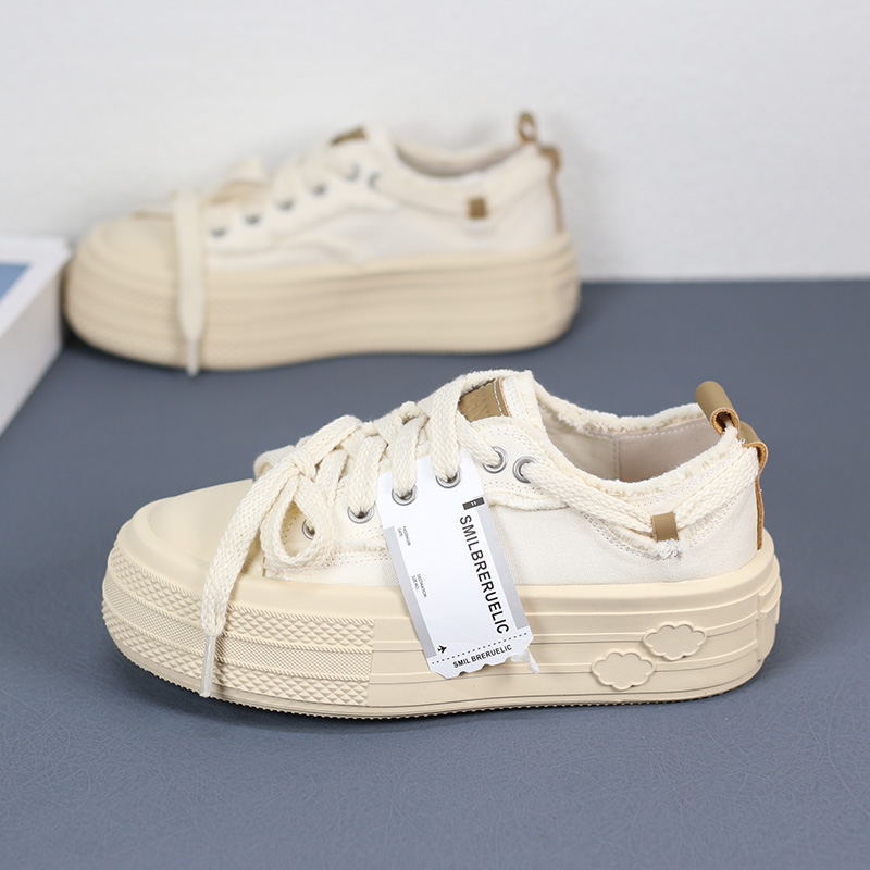 Women's Spring Thick Bottom Korean Sports Canvas Shoes Newgew