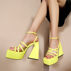 Dior Platform Chunky Heel Strappy Sandals NEW GEW